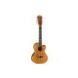 High Tide 8-String Tenor Acoustic Electric Ukulele