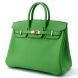 Hermes Birkin 25 Swift Leather Vert Yucca