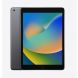 10.2-inch iPad Wi-Fi 256GB - Space Gray