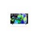 OLED evo C3 42 inch 4K Smart TV 2023