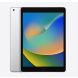 10.2-inch iPad Wi-Fi 256GB - Silver