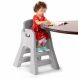 Big Kid Booster Chair