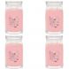 Signature Large Jar Candle - Pink Sands (set of 4)