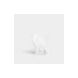 Squeeze Vase Clear Tulip